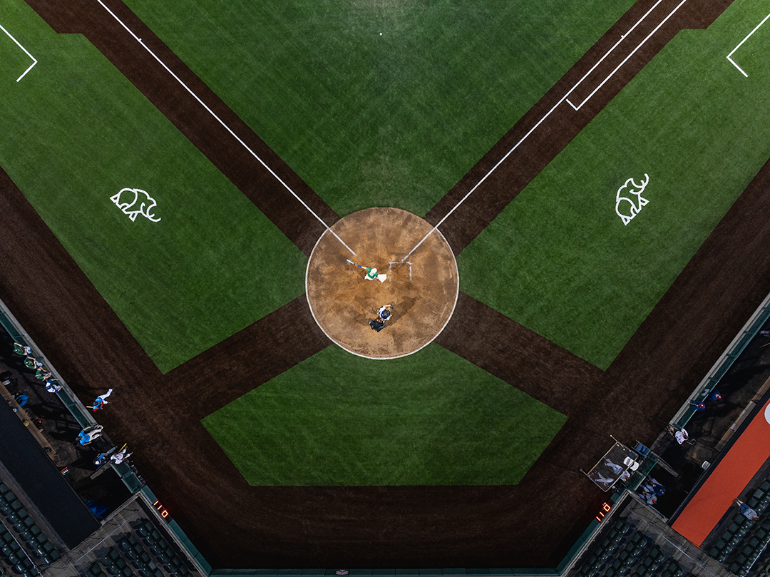 MMTH-MSC-MONARCHS-BR-5b.webp